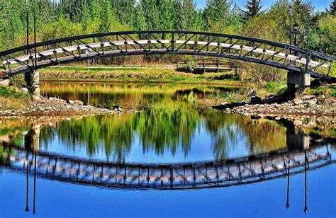 Walking bridge | Shutterbug