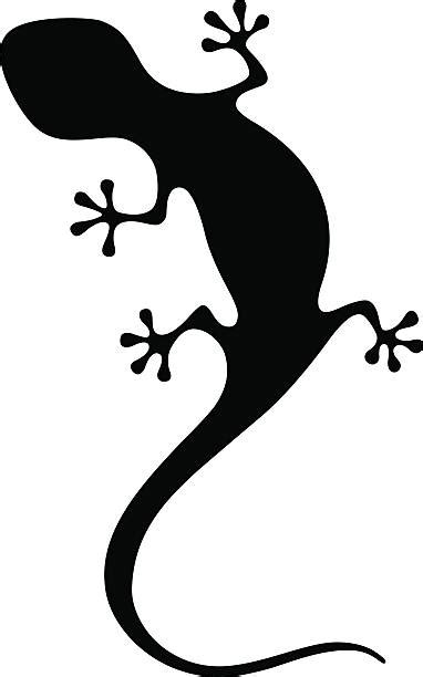 clipart salamander 20 free Cliparts | Download images on Clipground 2024