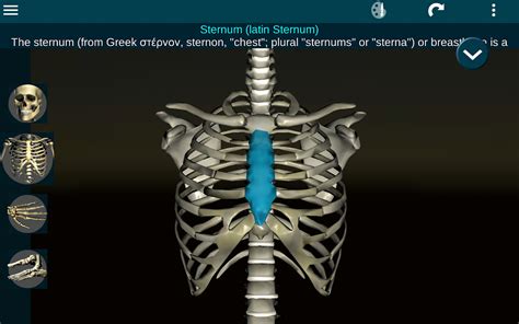 Ứng dụng Osseous System in 3D (Anatomy): Giải phẫu xương người 3D ...