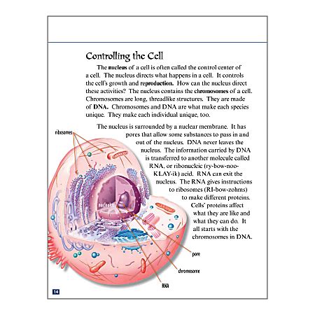 Teacher Created Materials Cellular Biology Book Set, Grades 6 - 8, Set Of 6 Books