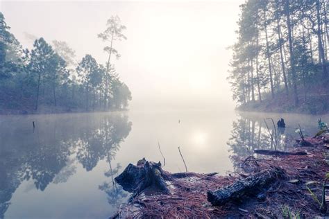 Misty Morning - Andreas Hagspiel Photography - Photography, Landscapes ...