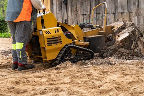 Tree Stump Grinding Vs. Removal | Acorn Tree Service