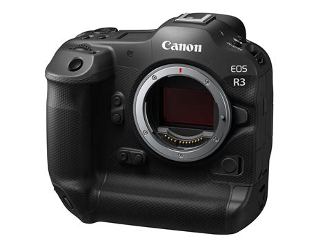 Canon EOS R3 will shoot 30 fps Raw bursts, with oversampled 4K and 8-stop IS: Digital ...