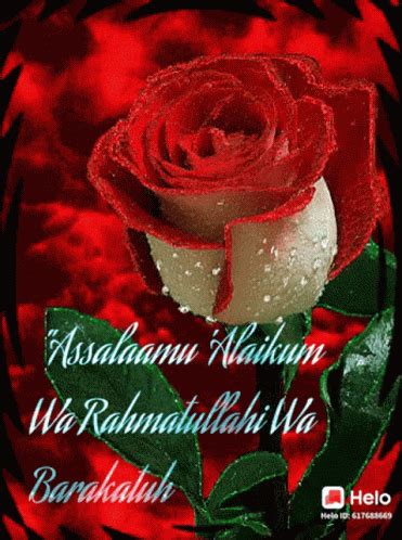 Assalaamu Alaikum Wa Rahmatullahi Wa Barakatuh अस्सलामुवलेकुम GIF - AssalaamuAlaikumW… | Good ...