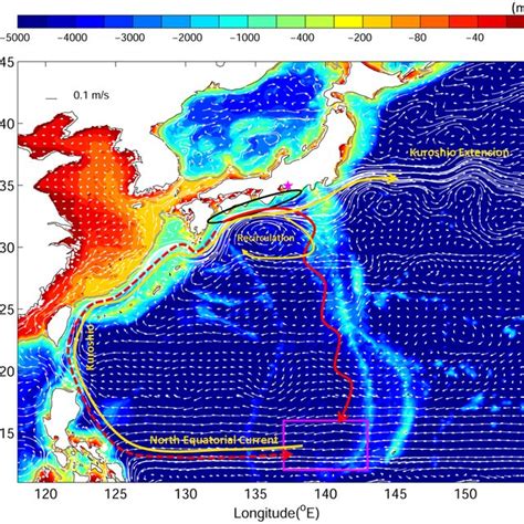 (PDF) Simulating the Oceanic Migration of Silver Japanese Eels