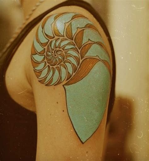 14 best Spiral Shell Tattoo images on Pinterest | Conch shell tattoos, Shell tattoos and ...