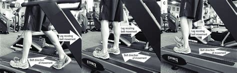 Eccentric hamstring-strengthening exercise using the treadmill. The ...