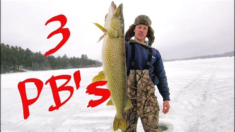 NORTHERN PIKE ICE FISHING IN MAINE WITH 3 PB's on SABATTUS LAKE - YouTube