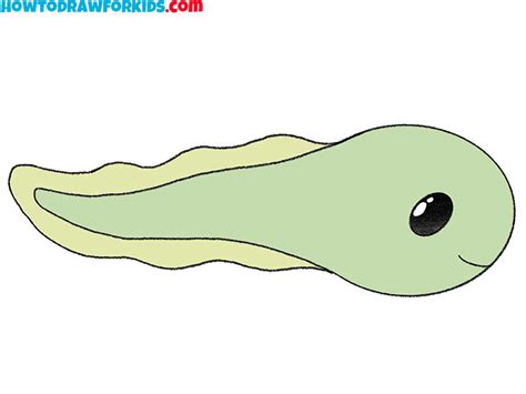 How to Draw a Tadpole - Easy Drawing Tutorial For Kids