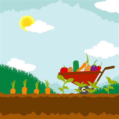 Vegetable Garden Illustration 202047 Vector Art at Vecteezy