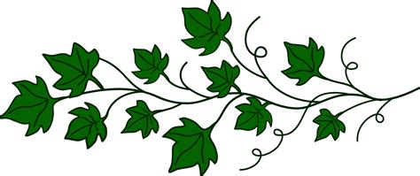 Free Vine Cliparts Download Free Vine Cliparts Png Images Free | Images and Photos finder