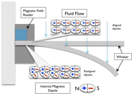 Magnetostriction