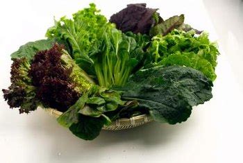 The Growing Stages of Lettuce | Home Guides | SF Gate