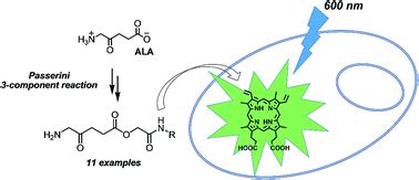 Synthesis of chemically diverse esters of 5-aminolevulinic acid for photodynamic therapy via the ...