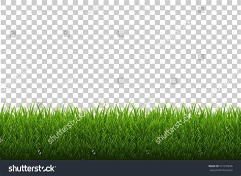 Grass Border Vector Illustration Stock Vector (Royalty Free) 721790836 ...