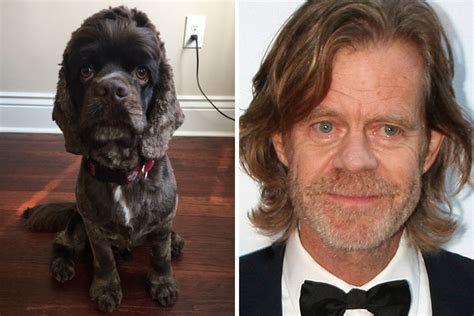 Celebrities That Look Like Their Pets - Pets Retro