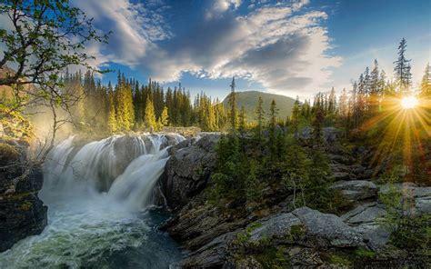 nature, waterfall, 1080P, rays, pine, landscape, forest, sun rays ...