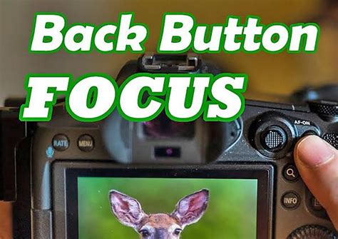 How to Use BACK-BUTTON Focus for Travel, Nature & Wildlife Photography ...