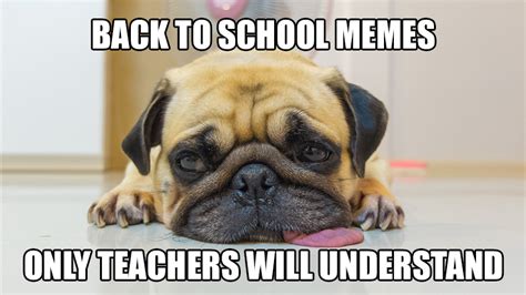 Back To School Memes For Students