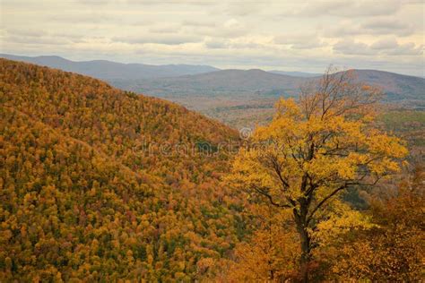 Fall in Catskill Mountains. Stock Image - Image of yellow, tourists: 27152623