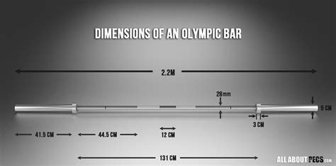 Olympic bar dimensions | Bar dimensions, Bench press, Bar