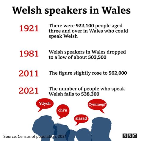 Welsh language: Fewer speakers in Wales in past decade - BBC News