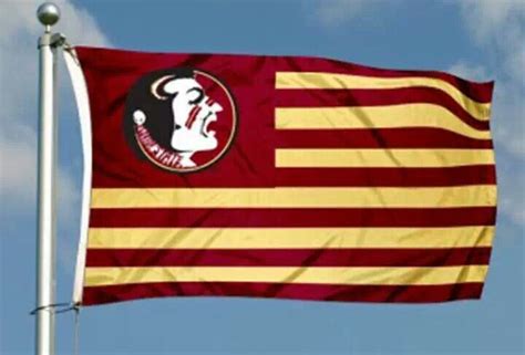 FSU flag. | Fsu, Florida state seminoles logo, Florida state football