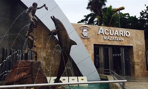 Mazatlán's new aquarium 60% complete, to open in October