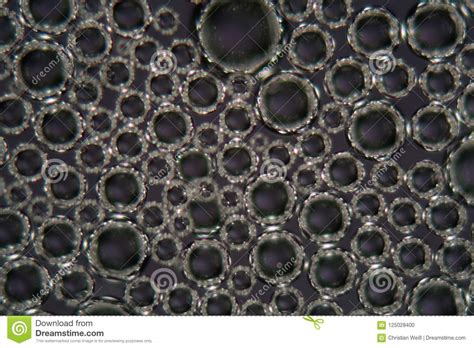 Bubbles of Beer Foam Under a Microscope Stock Photo - Image of liquid ...