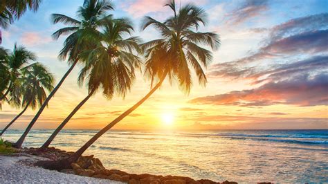 Tropical Beach Sunset Background