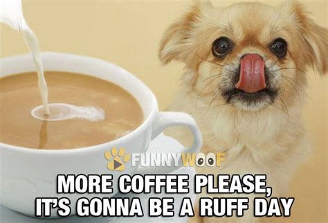 Dogs drink coffee too! How do you think they survive a ruff day?! Hurray! - FunnyWoof - www ...