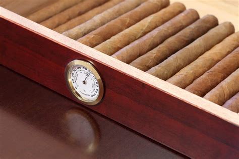 11 Best Cigar Humidors Reviewed - FULL 2023 BUYER'S GUIDE