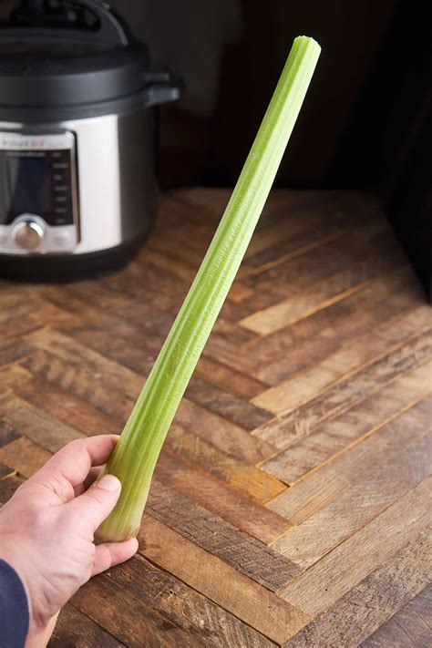 A Stalk of Celery vs a Rib of Celery? - DadCooksDinner