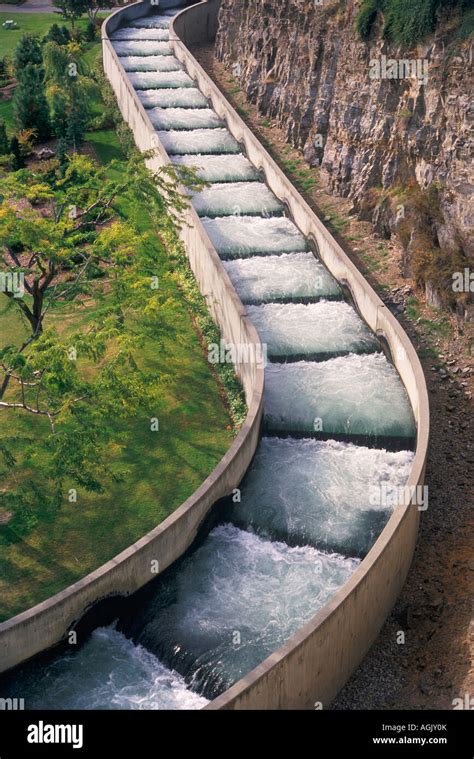 Salmon fish ladder Stock Photo - Alamy