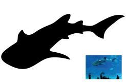 Designs by crealogo88 - silhouette drawing of a whale shark