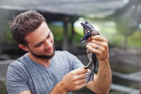 Top 10 Most Affordable Online Bachelor’s in Zoology Programs