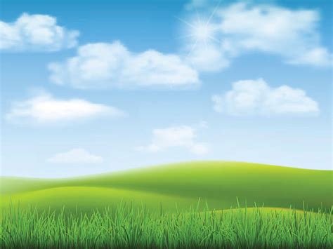 Sky Grass Background Vector