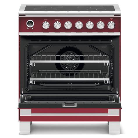 A Buyer's Guide to Induction Ranges - This Old House