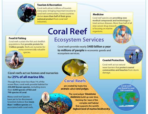 Importance of Coral Reefs - Marine Science