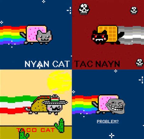 nyan cat gif | Tumblr | Nyan cat, Cat gif, Cats