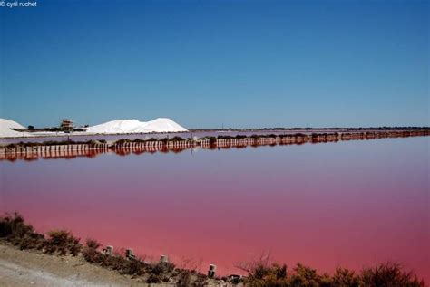 Les Salins d'Aigues Mortes en Camargue | Avignon et Provence