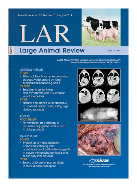 Evaluation of Marsupialization Combined with Long-Term Administration of Antibacterial Agents in ...