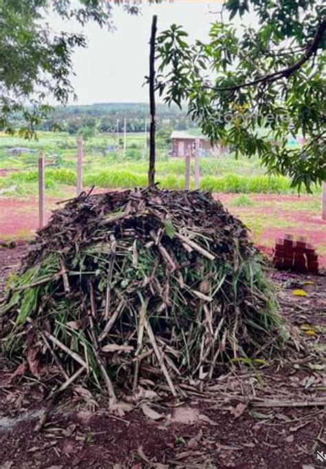 Compost making - Heap method