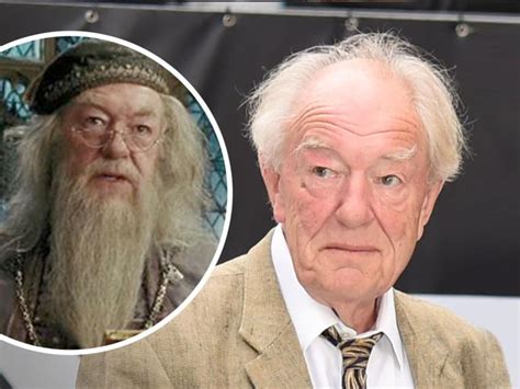 Remembering the Life of Michael Gambon, Best Known as Dumbledore in 'Harry Potter'