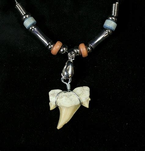 Authentic Fossil Shark Tooth Necklace For Sale - FossilEra.com