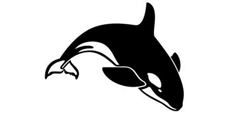 Download High Quality whale logo orca Transparent PNG Images - Art Prim ...