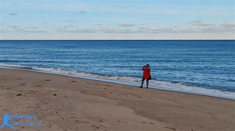 Cape Cod National Seashore - Always Live Loud