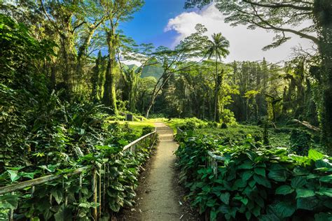 11 Amazing Waterfalls On Oahu, Hawaii