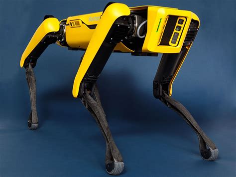 Now robo-dog Spot can talk and receive voice commands - Gadget Advisor