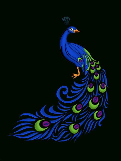 Peacock Simple Drawing at GetDrawings | Free download
